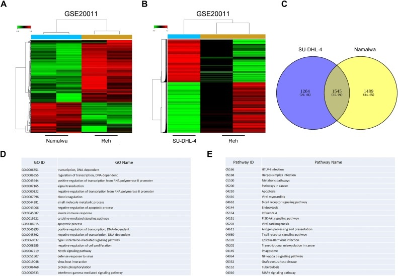 The Sourse: https://www.sciencedirect.com/science/article/pii/S0753332219326289