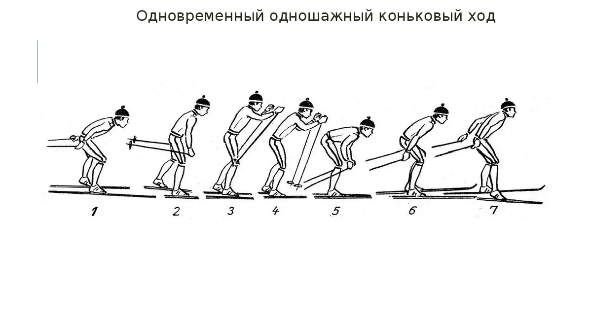 Коньковый ход. Одновременный одношажный ход. Попеременный четырехшажный ход.