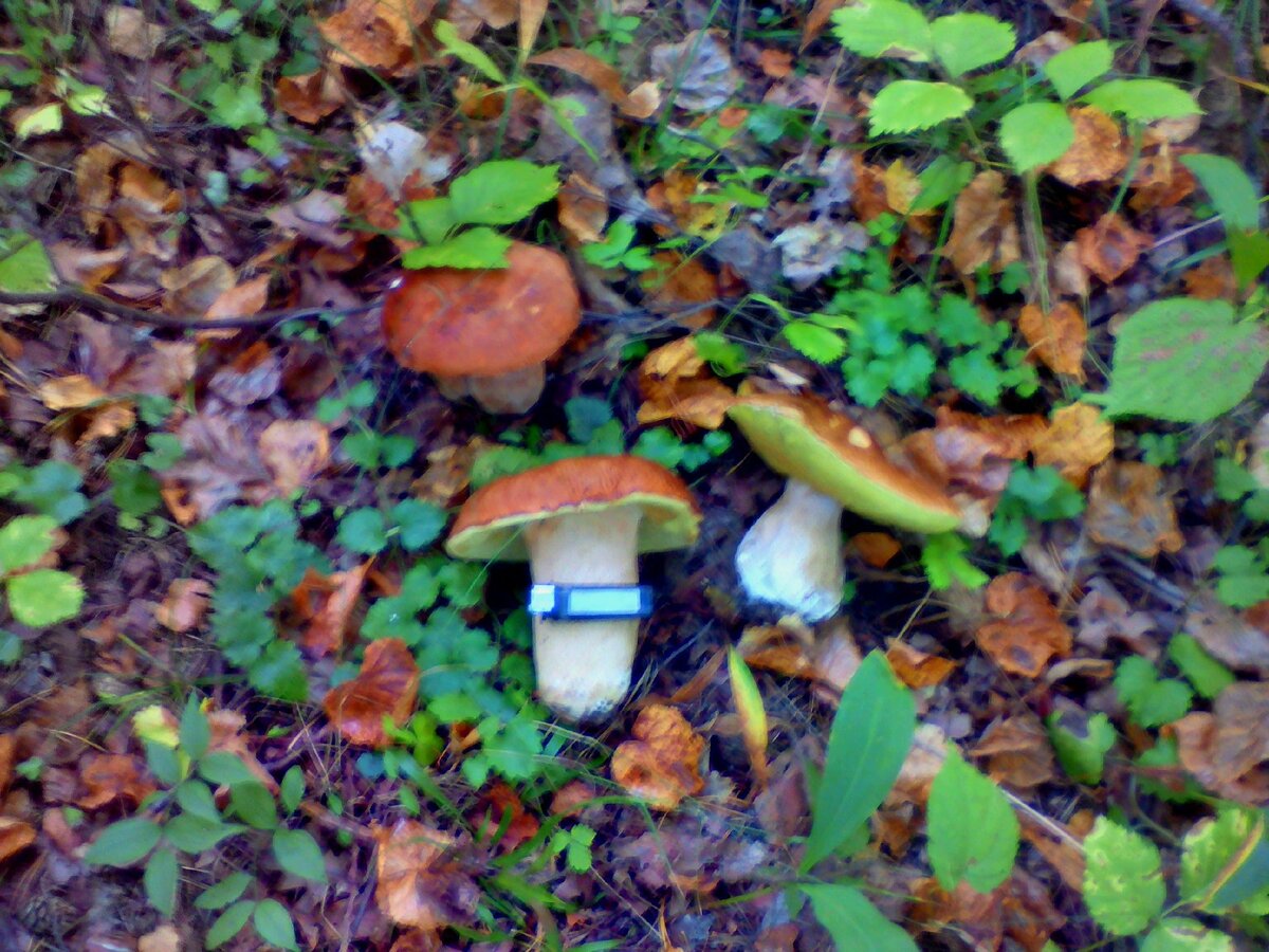 ВЫ О НАС ЕЩЁ ПОЧТИ НИЧЕГО НЕ ЗНАЕТЕ!