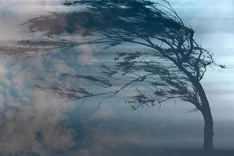 Фото : Яндекс.