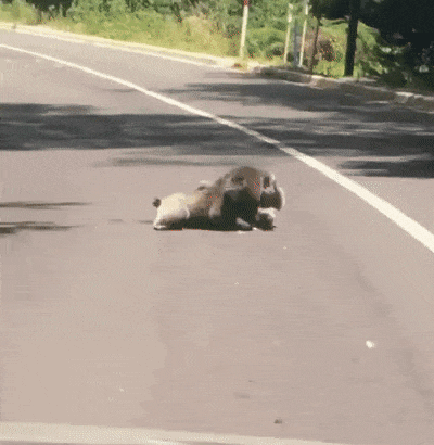 А вы думали, про борцунов мы для красного словца сказали? 