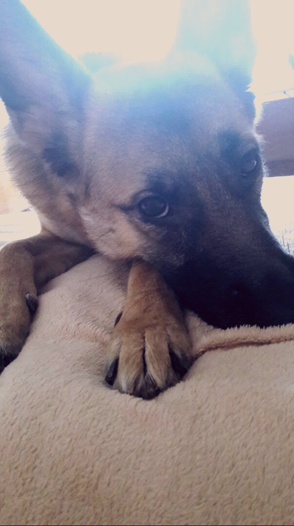 Триша-не всегда ангелок