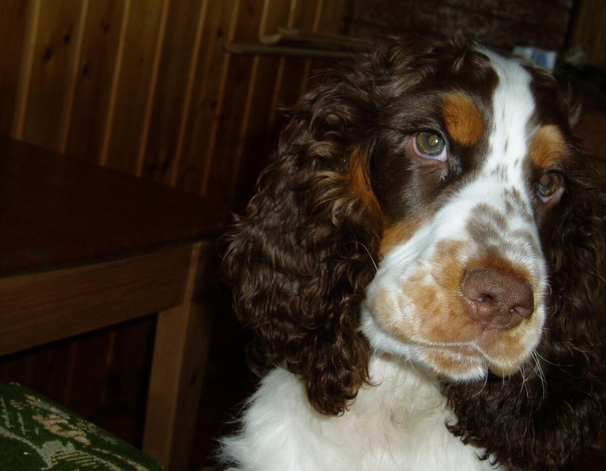 Я знаю, что я хорош!