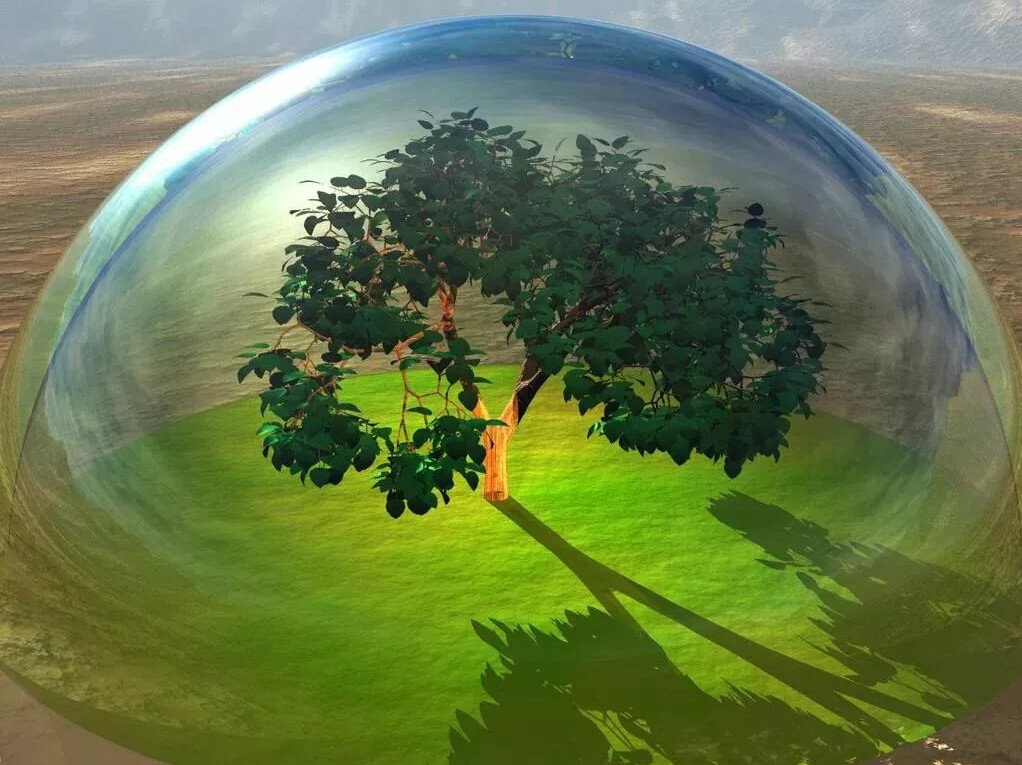 Биогеохимия живых растений планеты Земля.