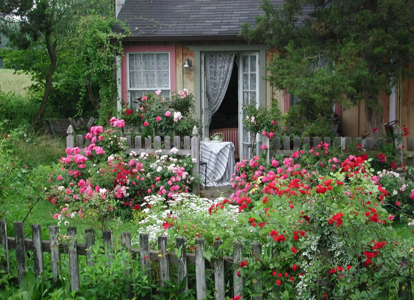 фото из интернета.