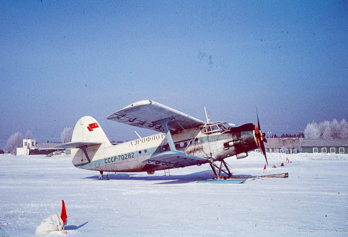 Кукурузник зимой