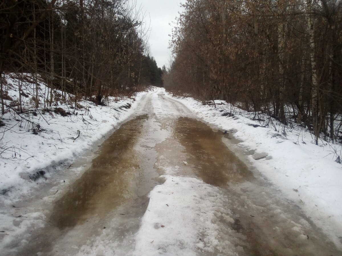 Одиночный поход в лес \ Строительство дома в лесу