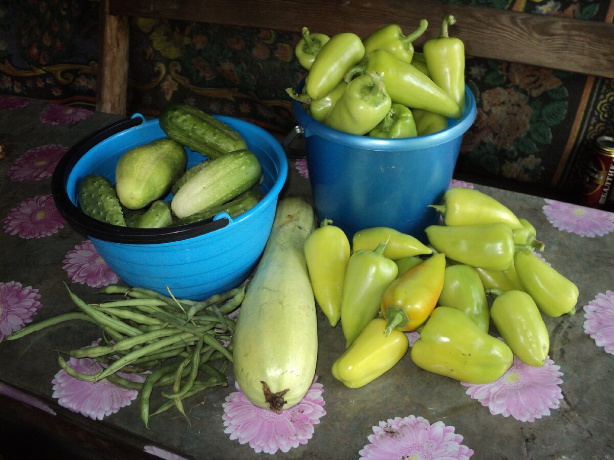 Фото из моего дачного архива 2016 года.