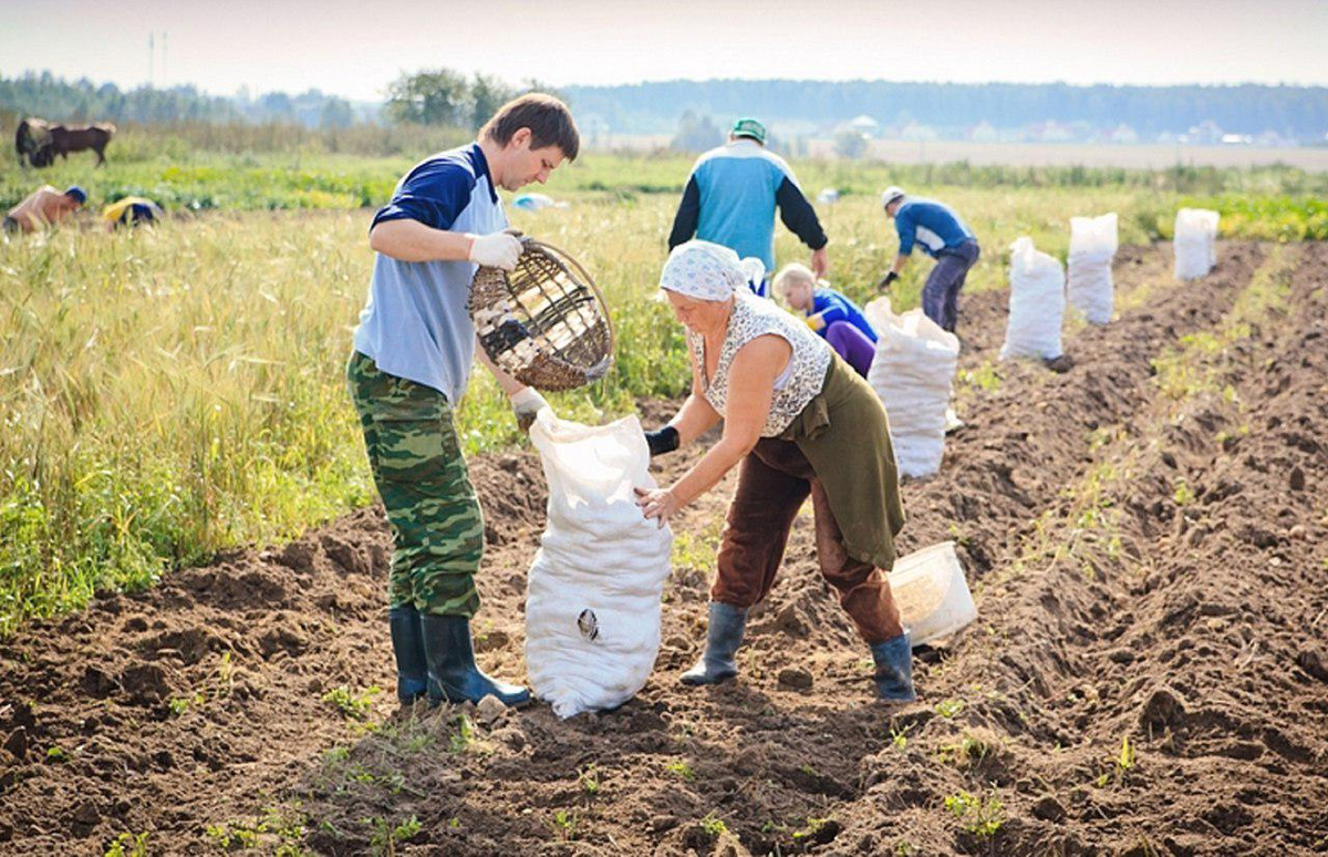 фото с яндекс-картинки
