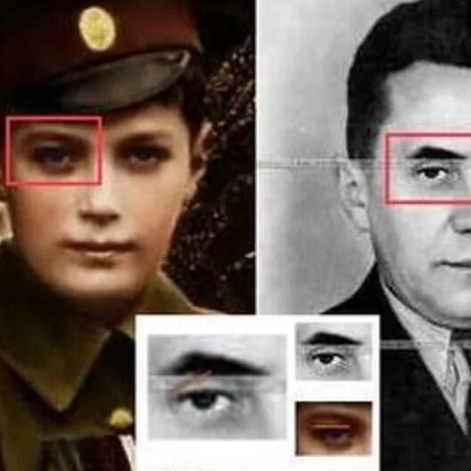 Алексей косыгин биография фото Почему отцом цесаревича Алексея (или премьера "Косыги") был не Николай Романов, 