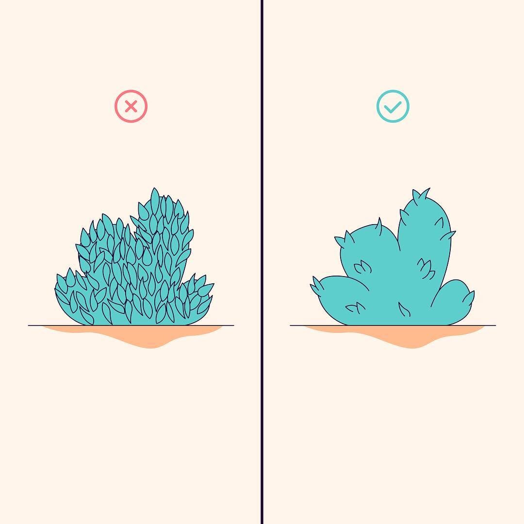 Пример детализации в иллюстрации