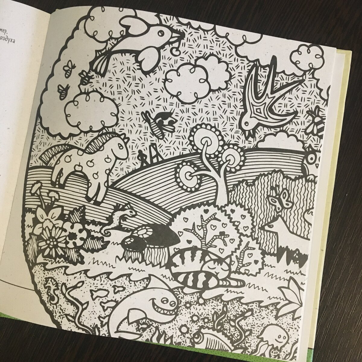 Фото автора. Книга "Натуральный Doodle". 