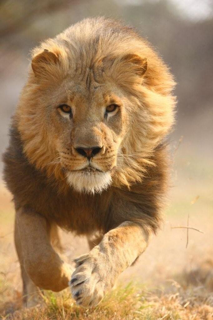 Источник фото: Яндекс 