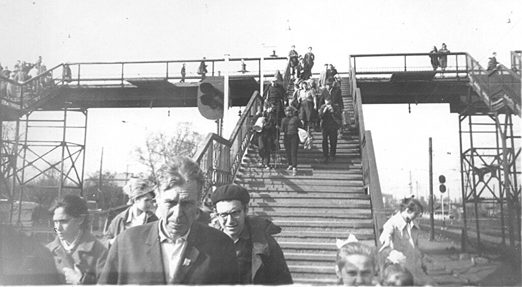 Фотография из открытых источников.