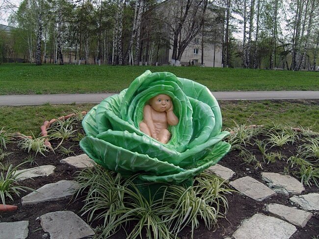 а им говорим, что в капусте нашли