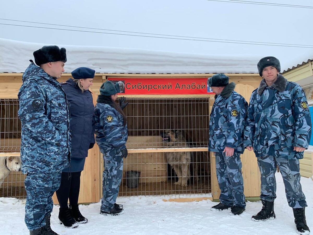 Марк демонстрирует себя)))