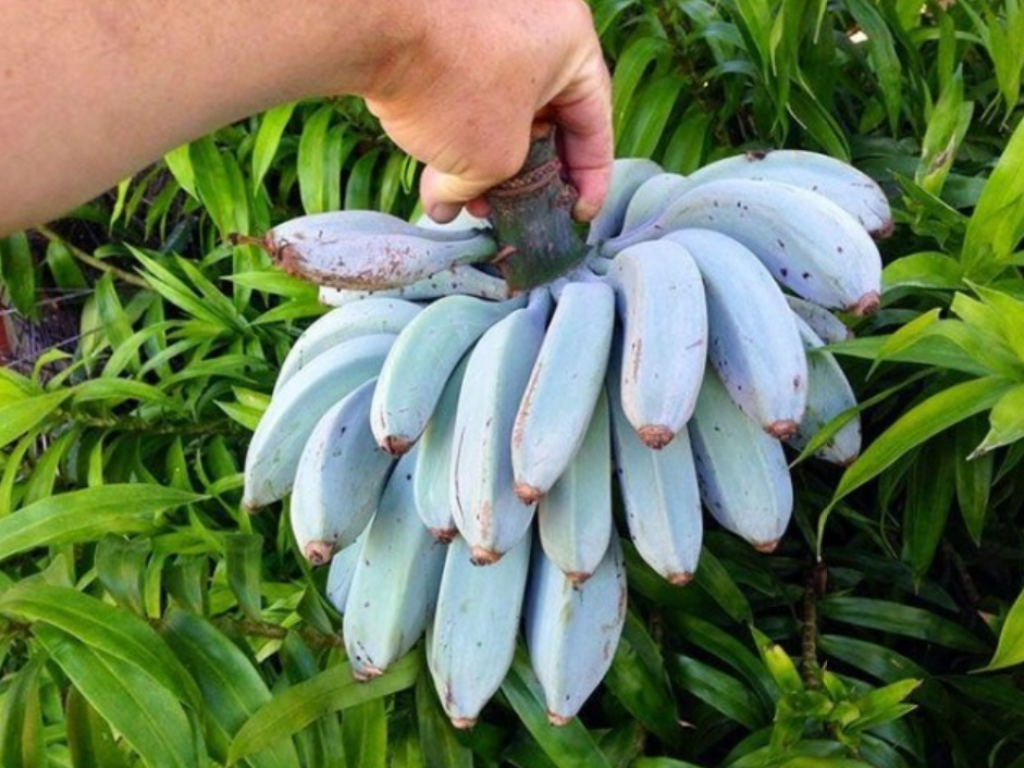 фото из сети Интернет