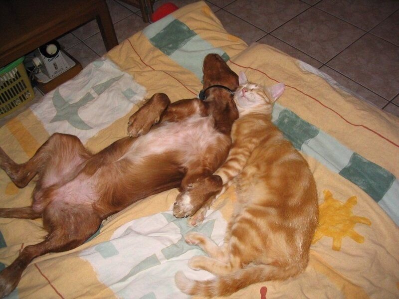 Фото из открытого источника с сайта https://www.google.com/search?