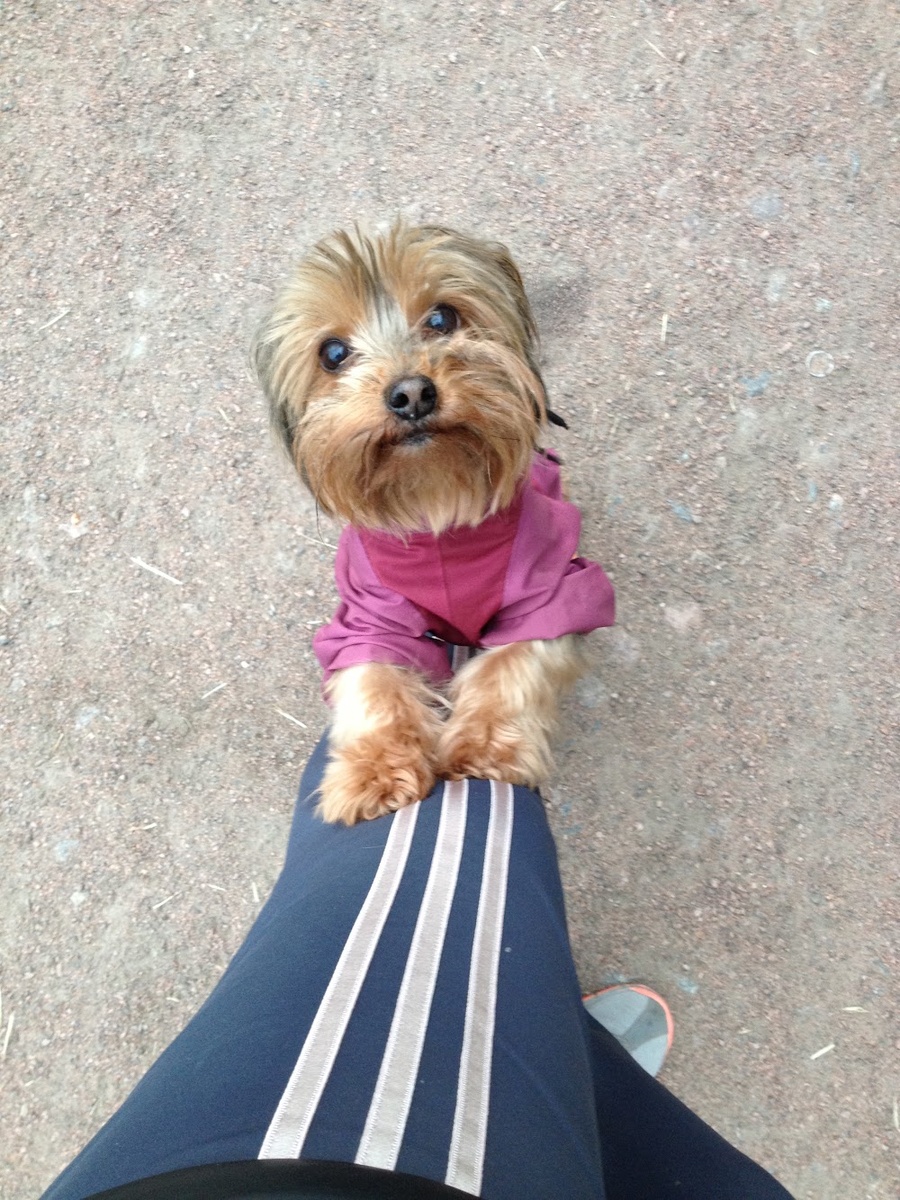 Из личного архива