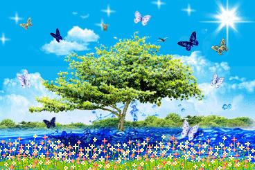 Яндекс картинки
