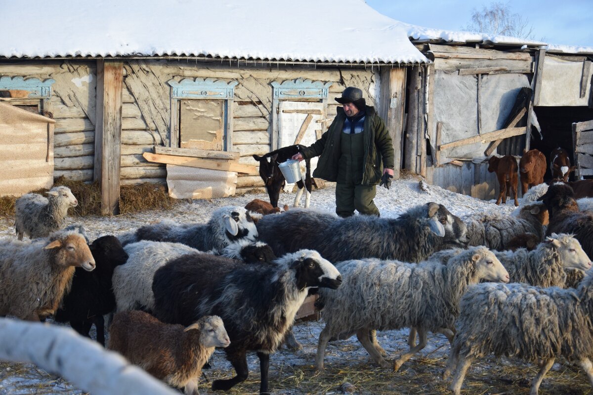 Фото Айгуль Парахонько