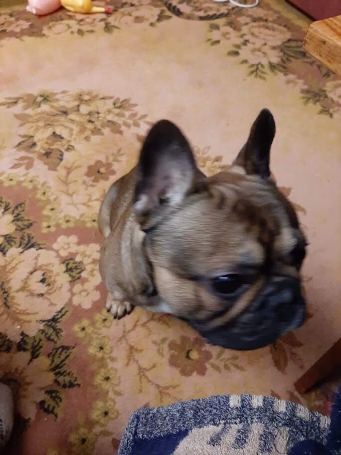 Фото из личного архива Инны.