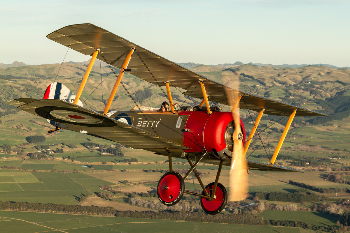 Фото из открытых источников.