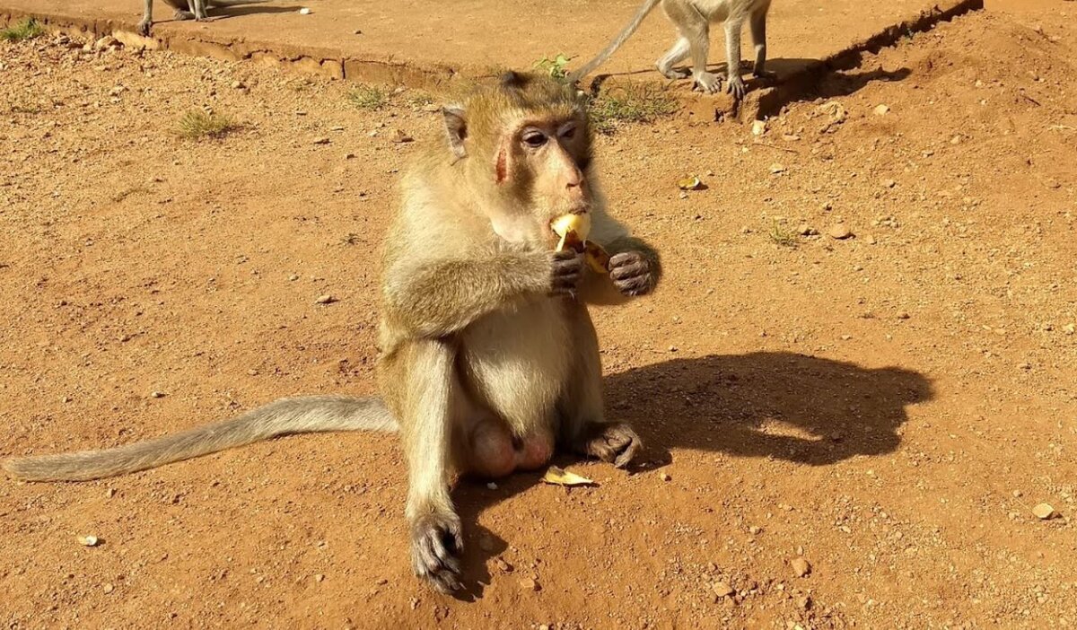 Отвратительно, не правда ли?