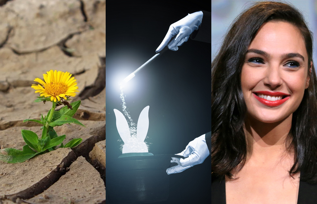 Изображения взяты с сайтов pixabay, freepik и wikipedia.