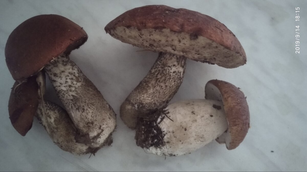 это мои находки