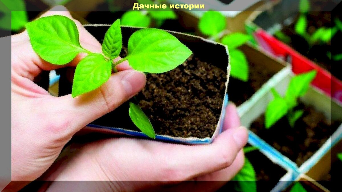 https://vk.com/photo-159774511_457243578