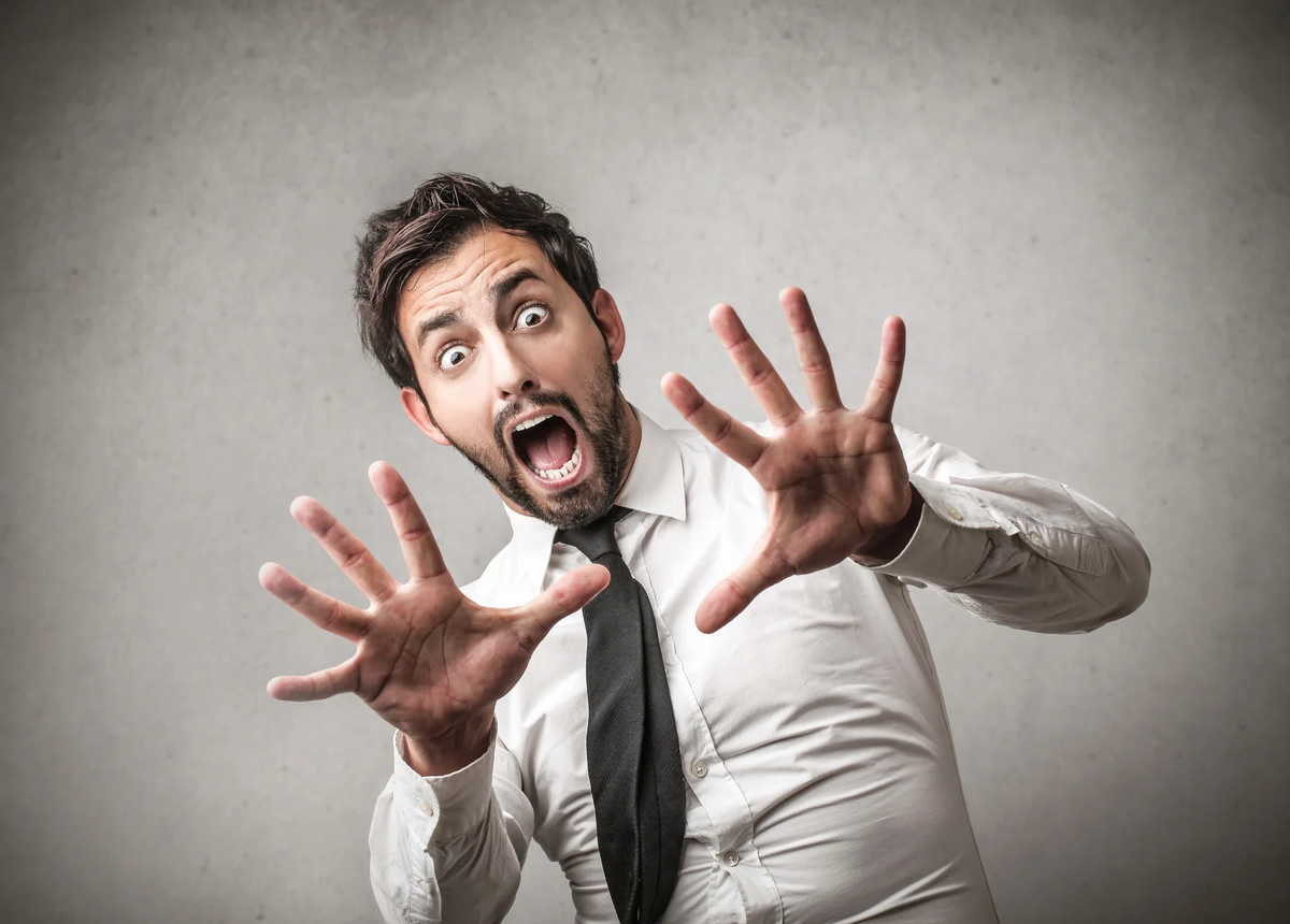 Фото из свободных интернет-источников