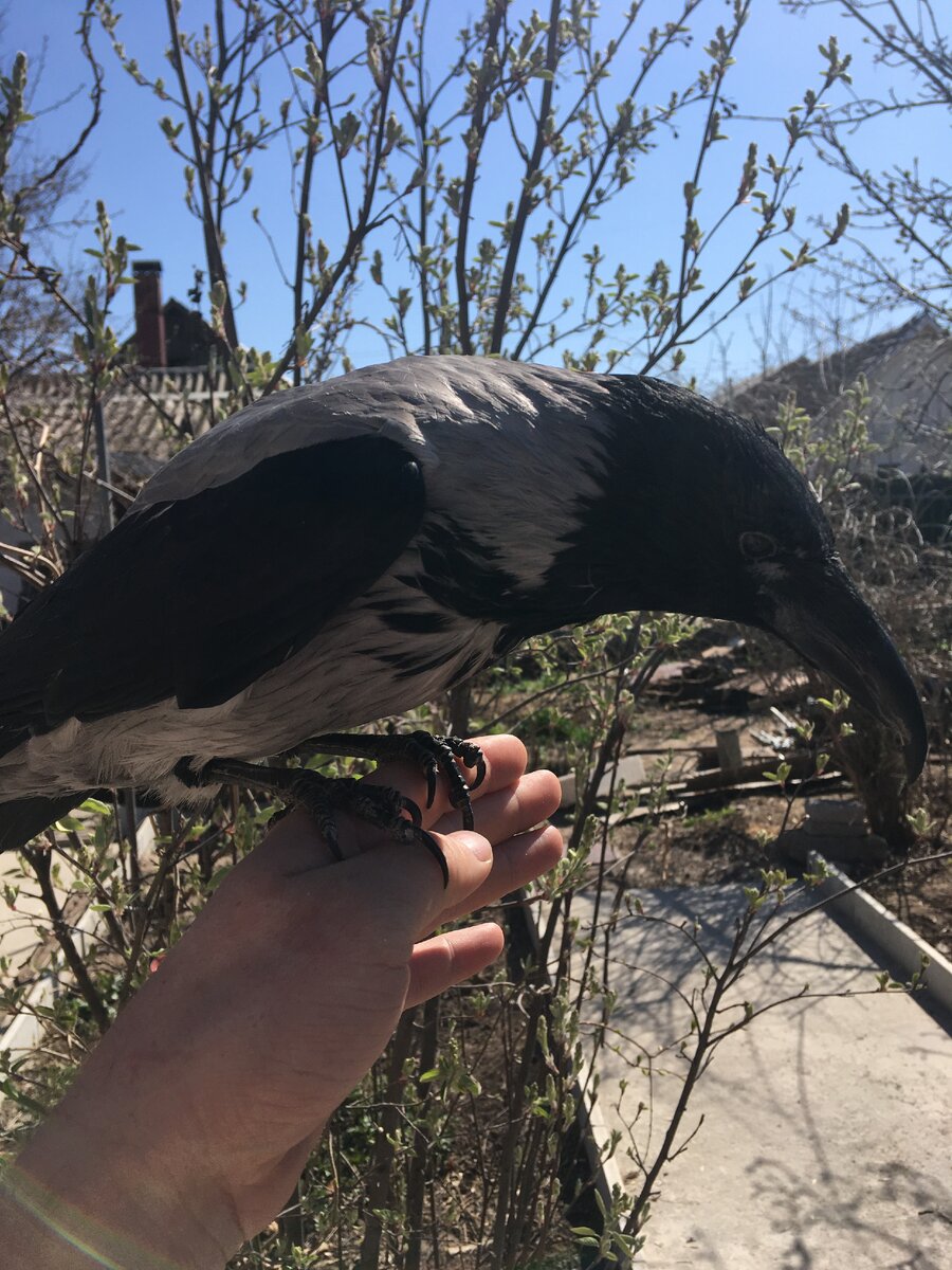 На прогулке. Фото автора.