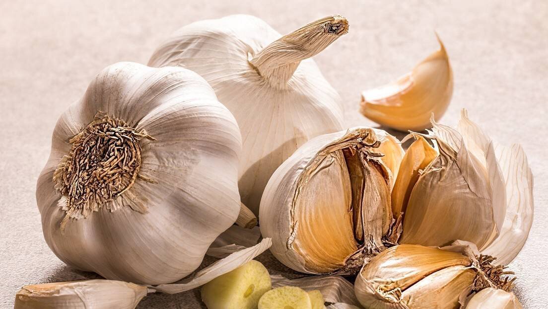 Фото: pixabay
