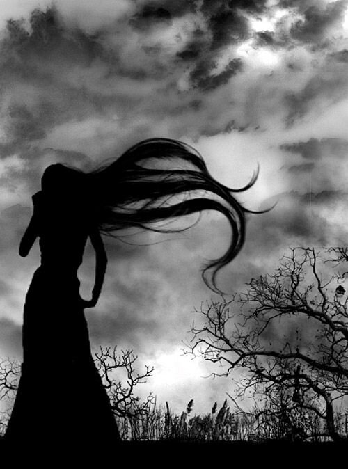 Яндекс-картинки, свободный доступ