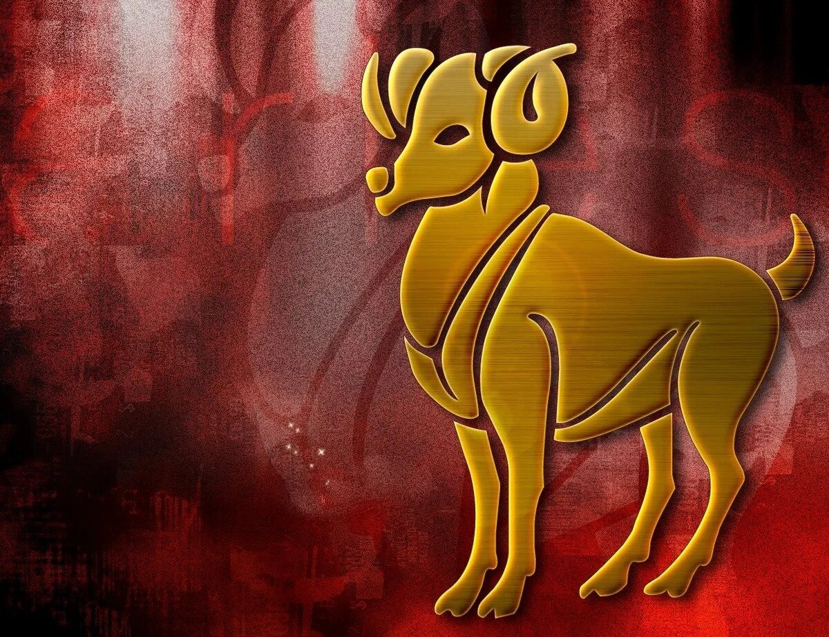 Фото взято из открытого источника