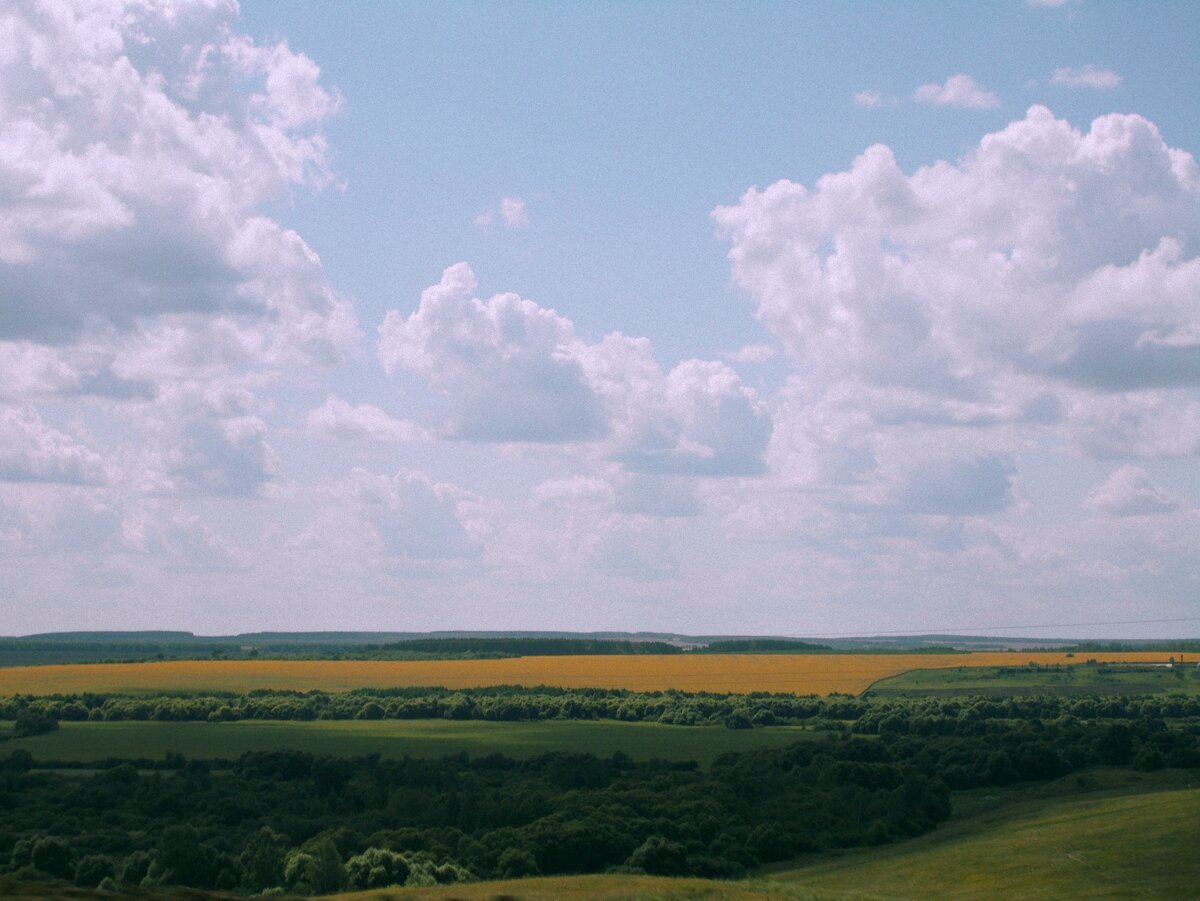 В катышках русь матушка