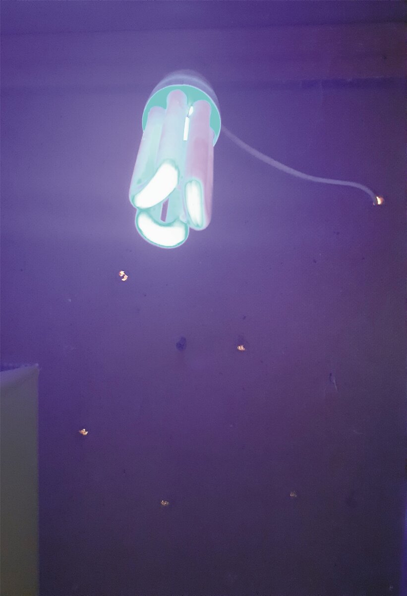 Свечение ультрафиолетовой лампы