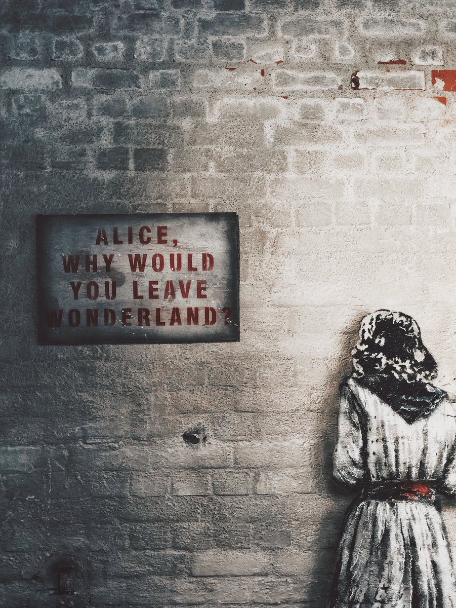 Алиса, зачем ты покинула страну чудес? https://unsplash.com/