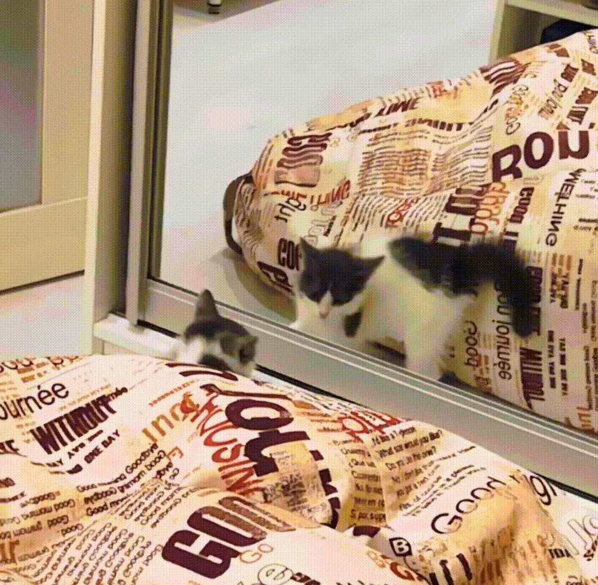 Ну давай, давай поиграем с тобой