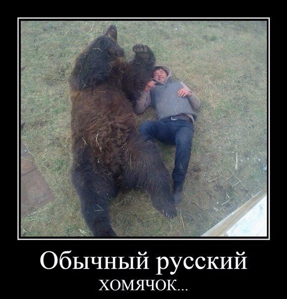 Наша страна не победима