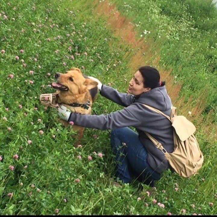 Кира и Трезор