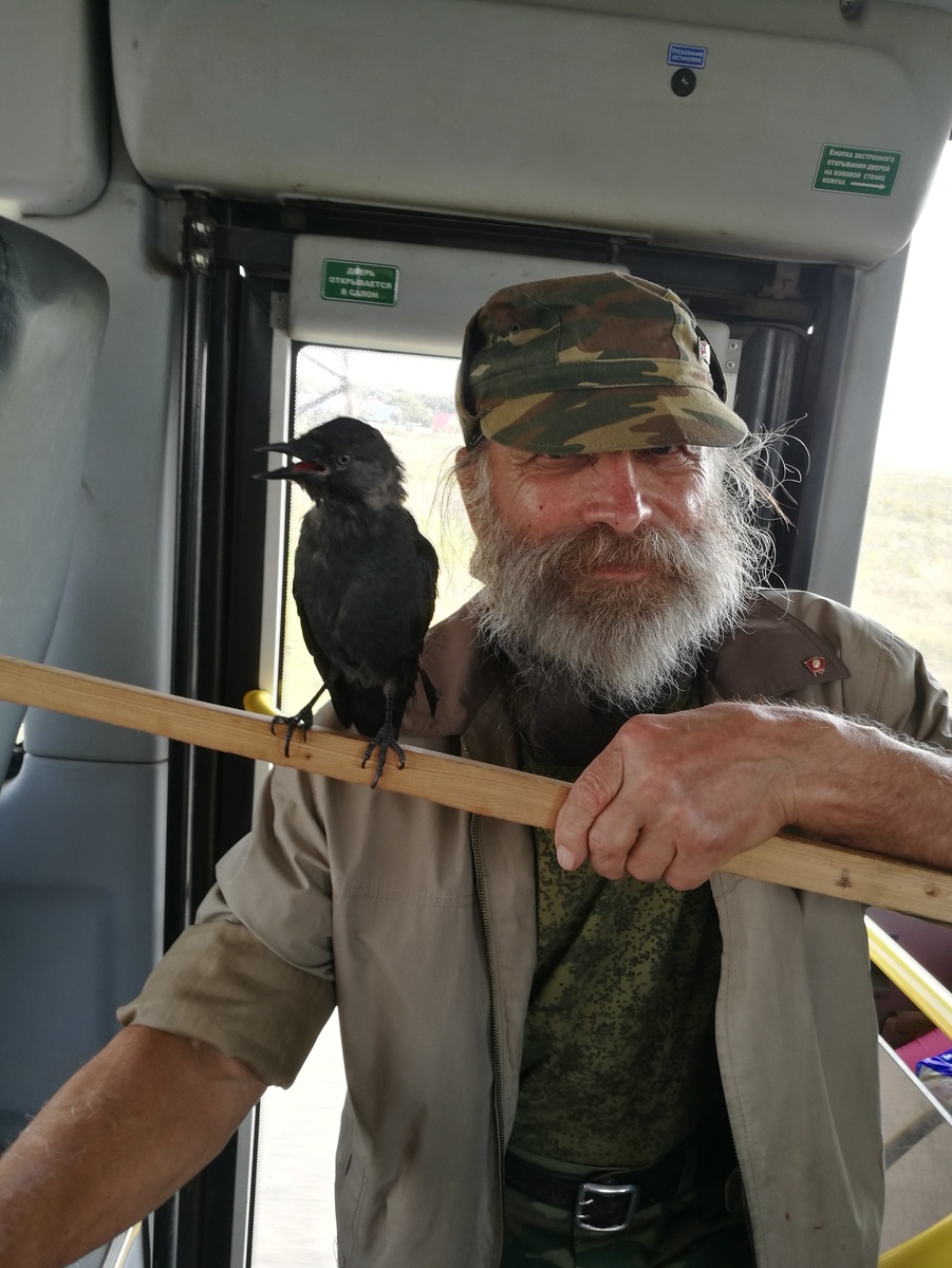 Добавлено из Google картинки