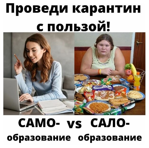 Салообразование или самообразование?