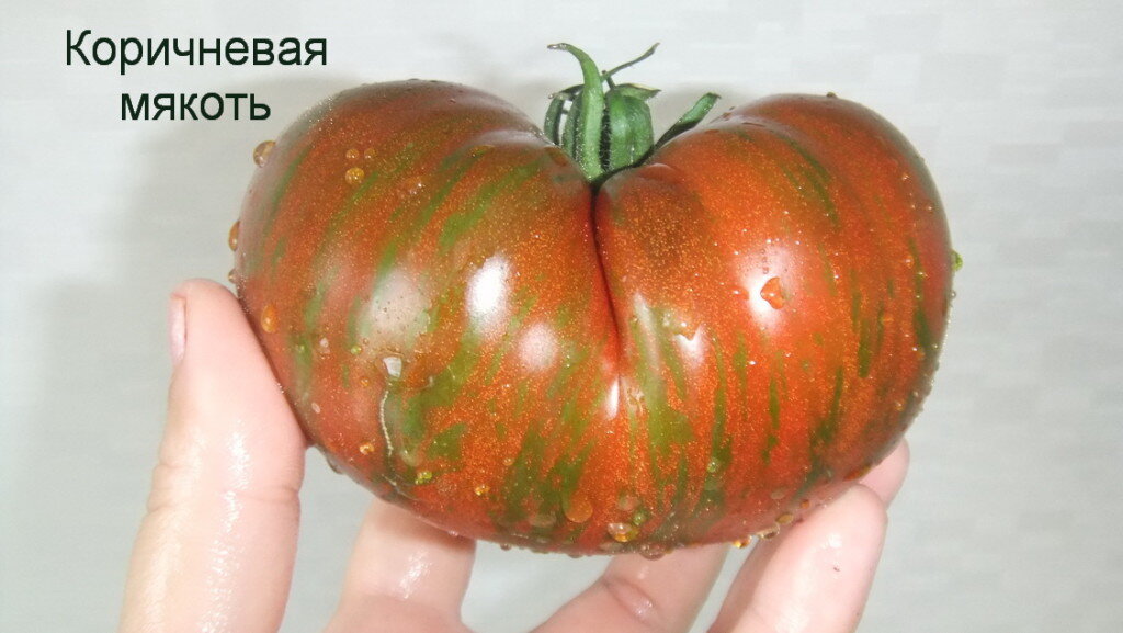 Селекция Тома Вагнера, 1980-е года, США.ОРИЧНЕВАЯ МЯКОТЬ / Brown Flesh (Канада) 