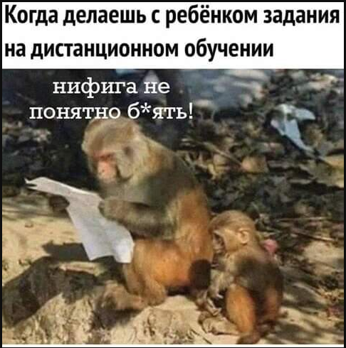 Родители на дистанте)