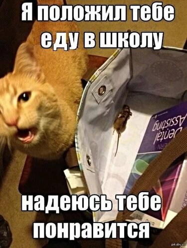 Надейся,блинб 