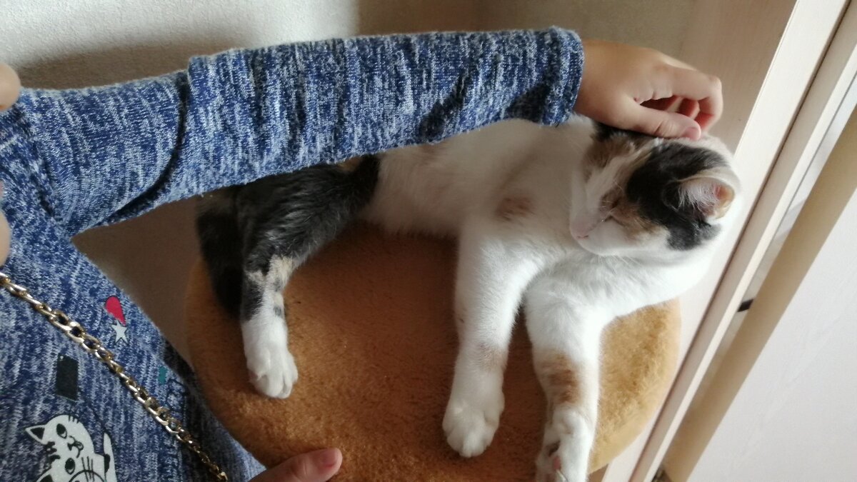 Личное фото. 