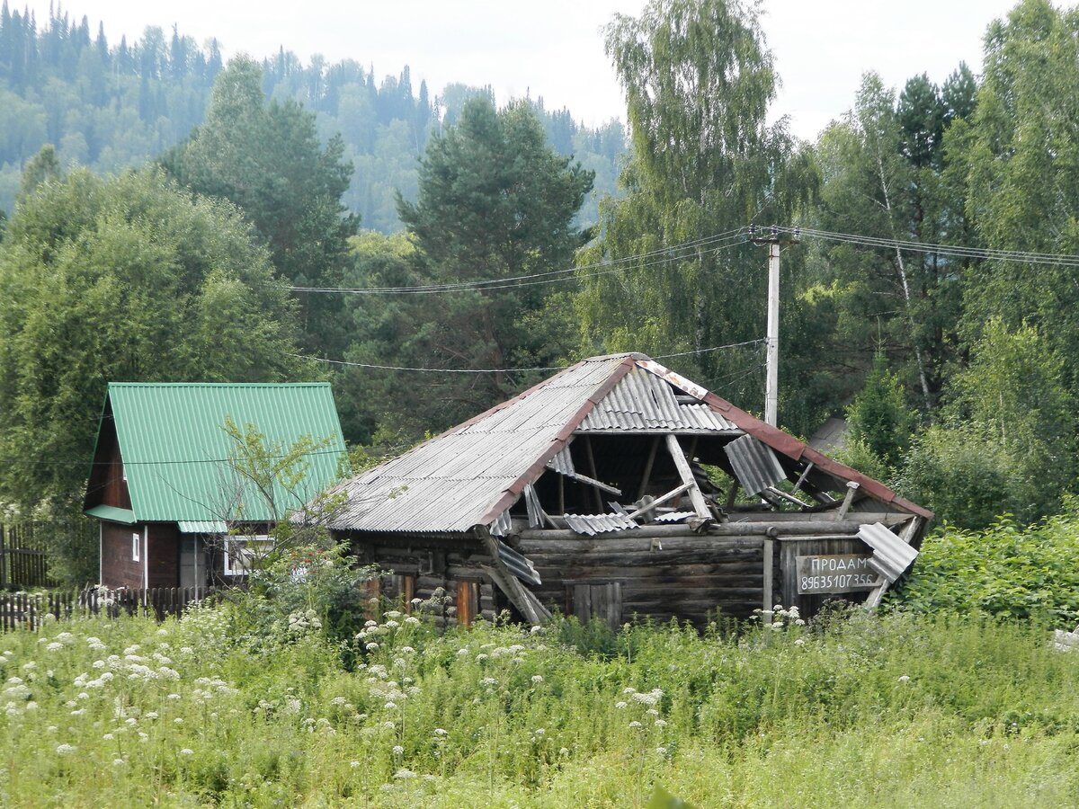 Села Алтая. Усть-Лебедь | Александр Шитов | Дзен