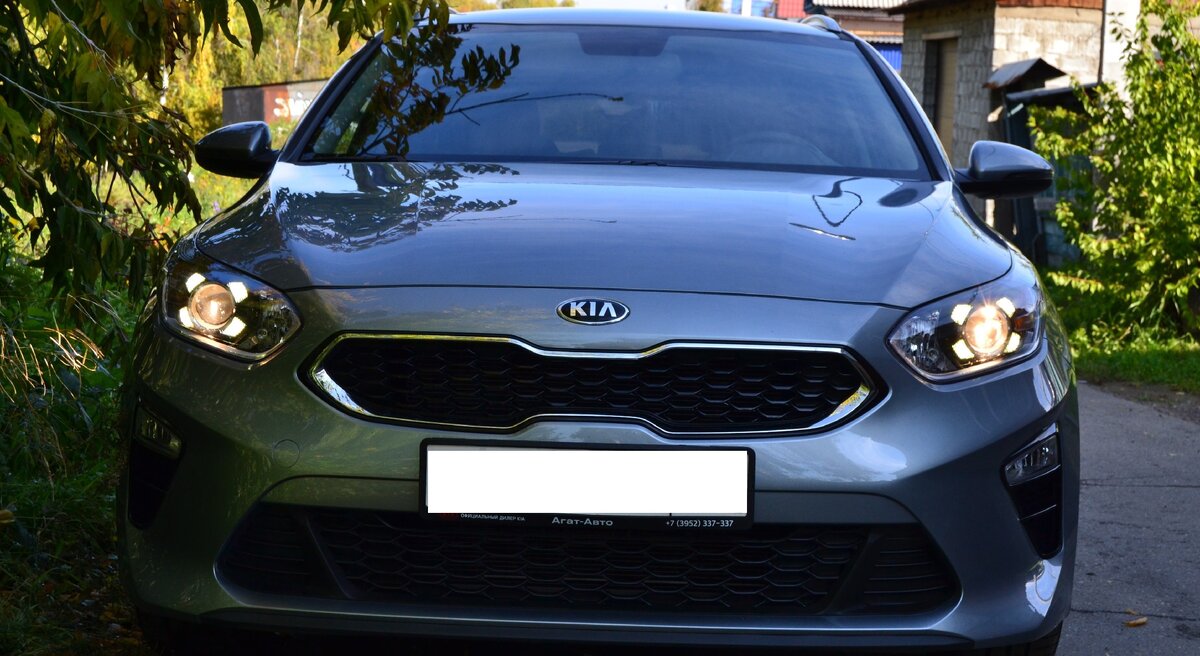 В тени осени. Фото автора.